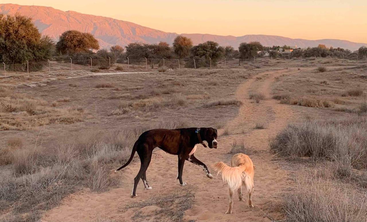 Rak Glamping Hotel Ras al-Khaimah Esterno foto