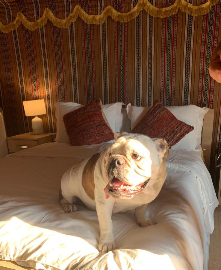 Rak Glamping Hotel Ras al-Khaimah Esterno foto