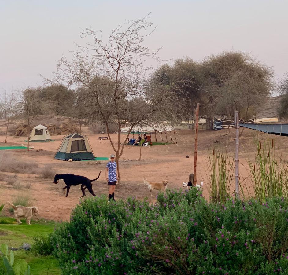Rak Glamping Hotel Ras al-Khaimah Esterno foto