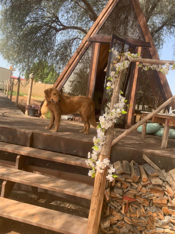 Rak Glamping Hotel Ras al-Khaimah Esterno foto